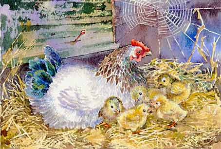 Hen with chicks