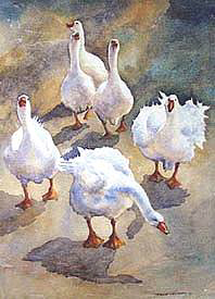 The Welcoming Committee